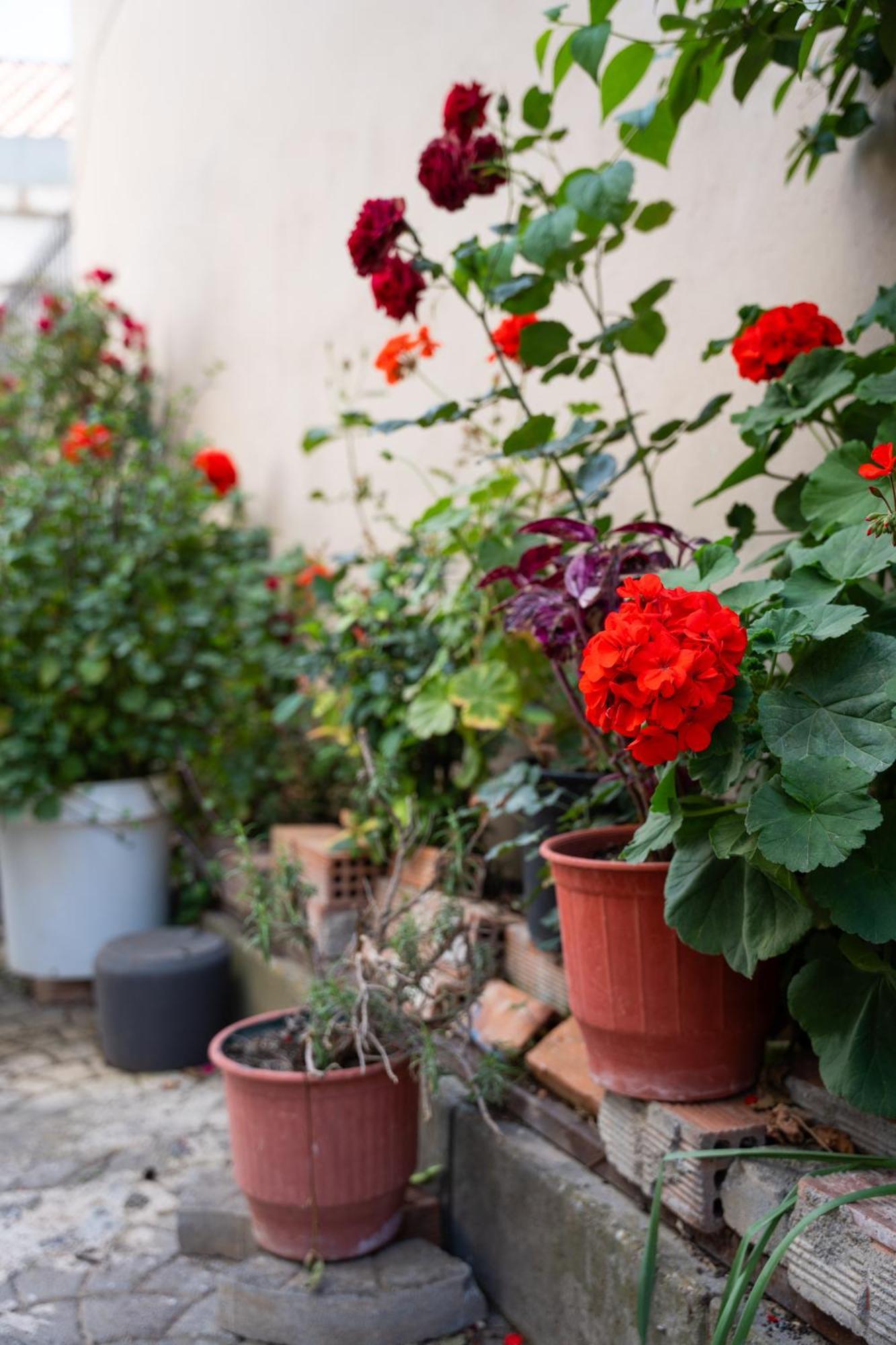 Nyx Guesthouse Tripoli Luaran gambar