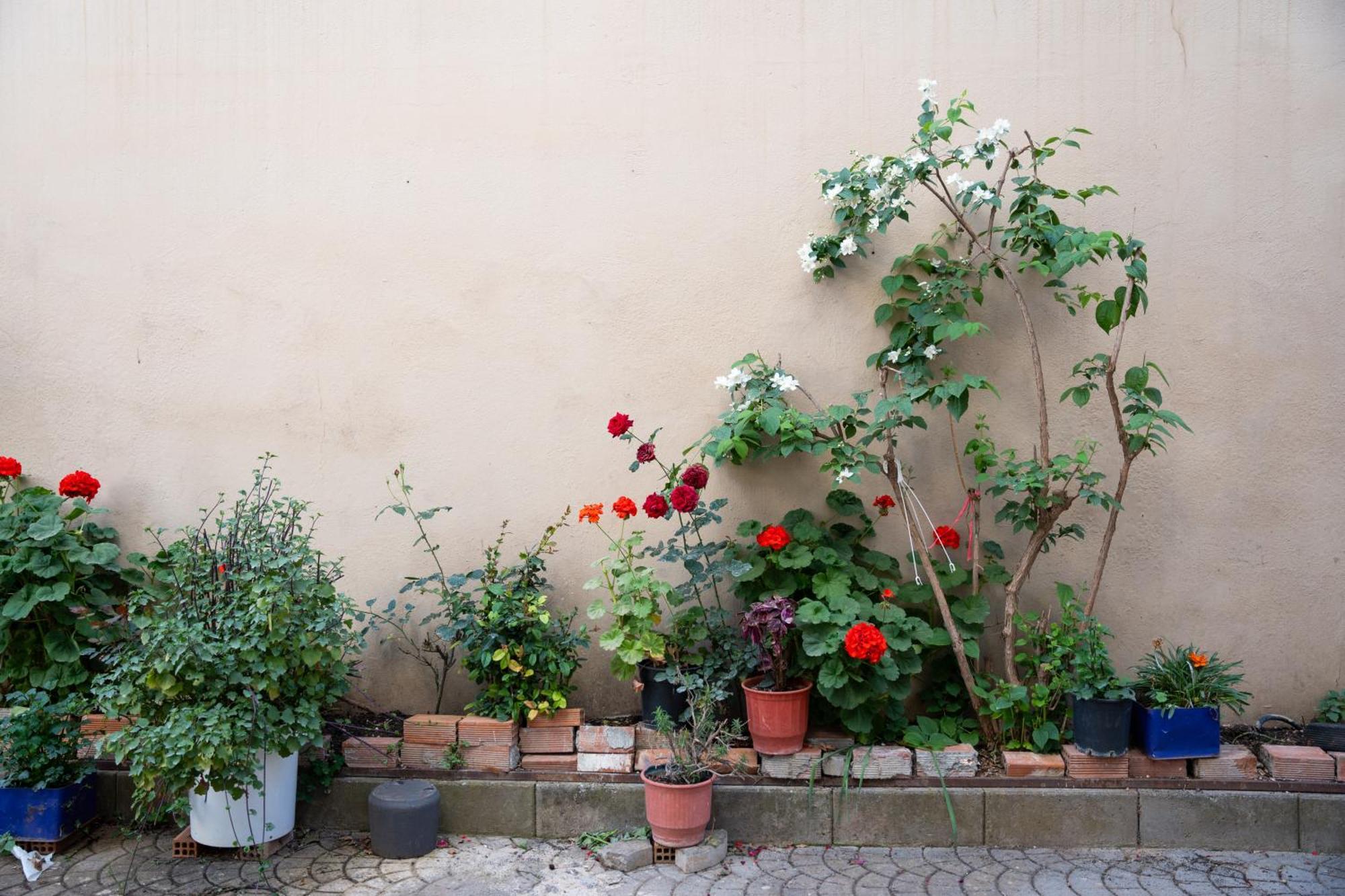 Nyx Guesthouse Tripoli Luaran gambar